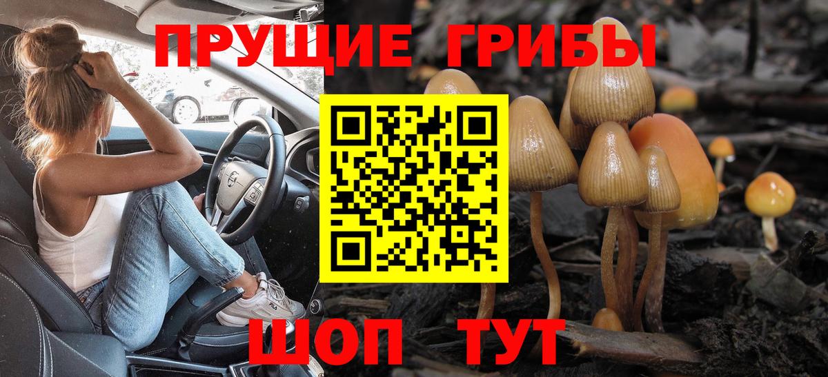 Псилоцибиновые грибы GOLDEN TEACHER Кемерово