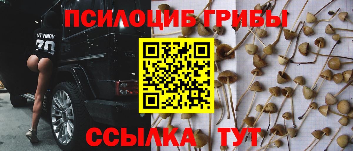 Кемерово  Галлюциногенные грибы Magic Shrooms  Вход с VPN 
