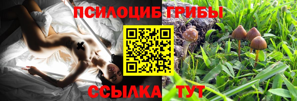  COCAIN Кемерово